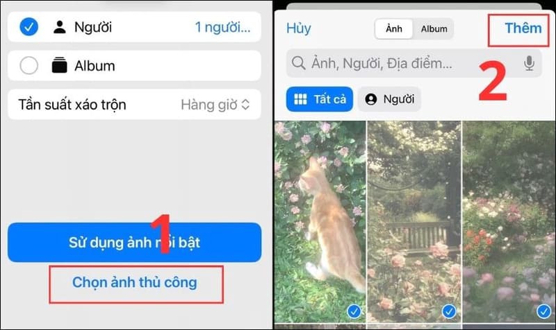 cách thay đổi hình nền tự động trên iPhone